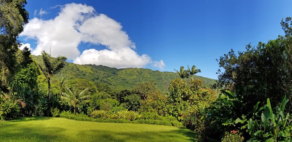 Lyon Arboretum, United States
